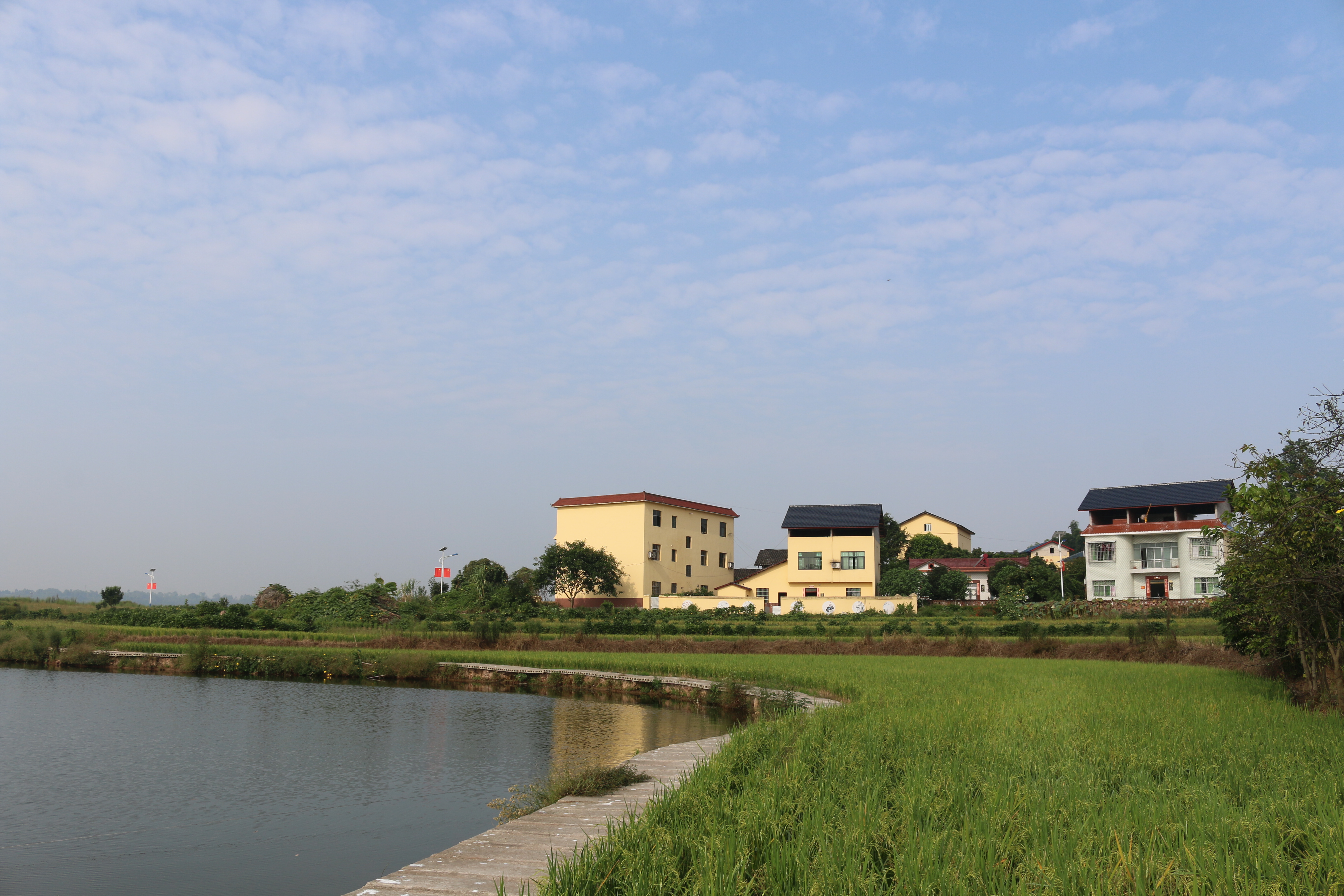 仙龙镇举办2019年庆祝中国农民丰收节活动_重庆市永川区人民政府