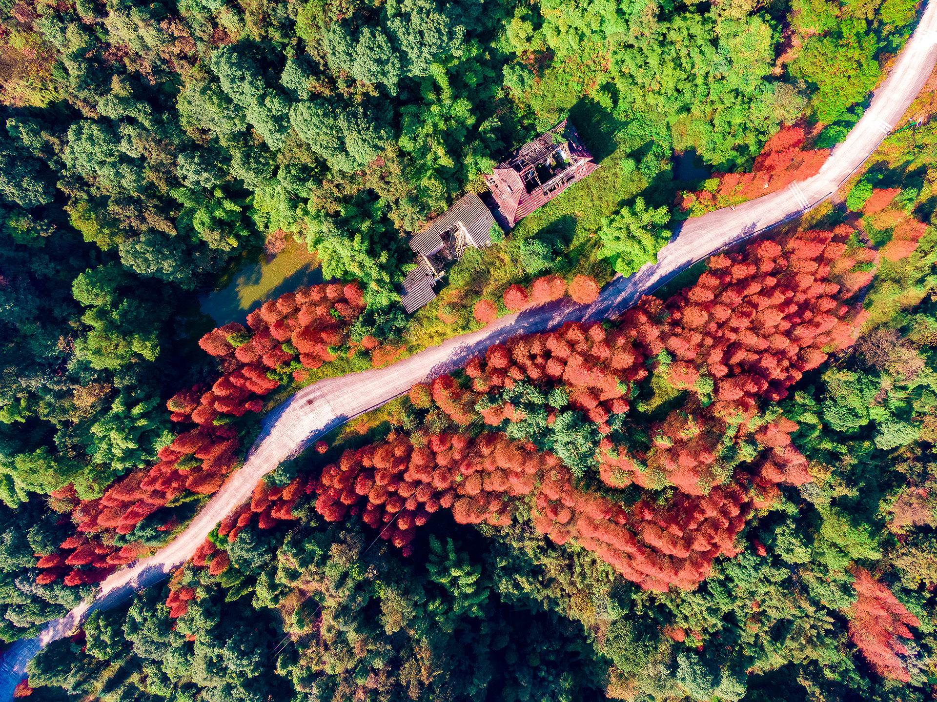 石笋山秋色 王成杰摄.jpg